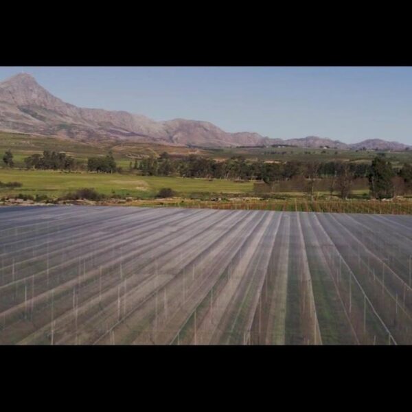 Shade Netting