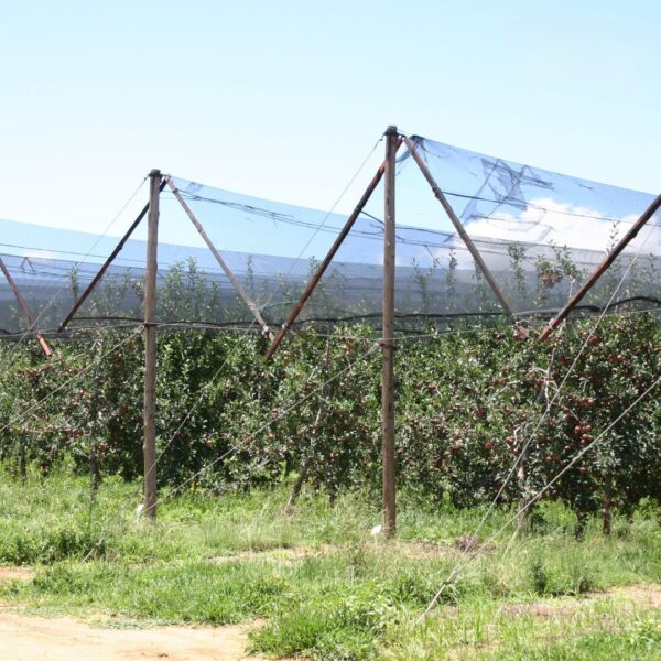 Shade Netting