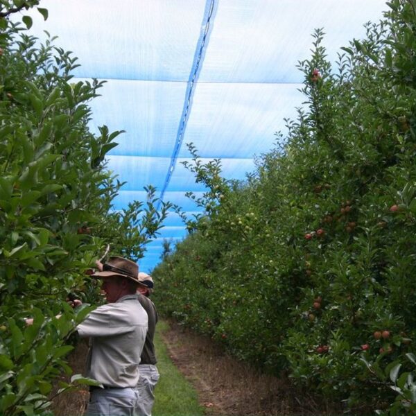 Shade Netting