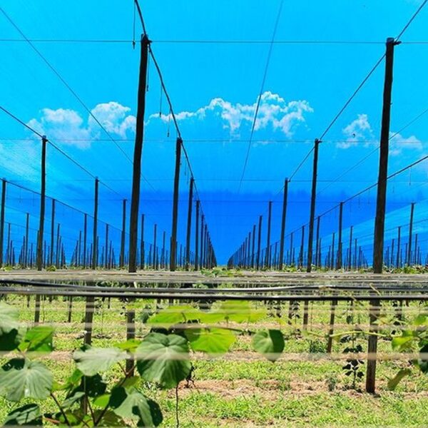 Shade Netting