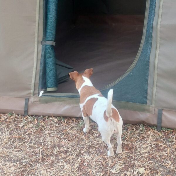 Canvas Dome Tent