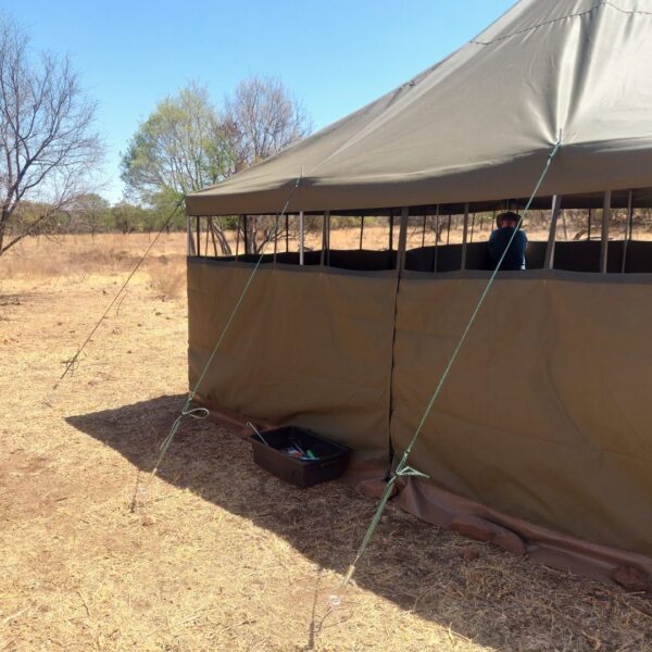 Army Tent Wall